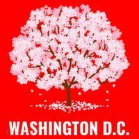 Washington Dc Cherry Blossom Tree Bloom Festival Gift Santa Hat thumb 1