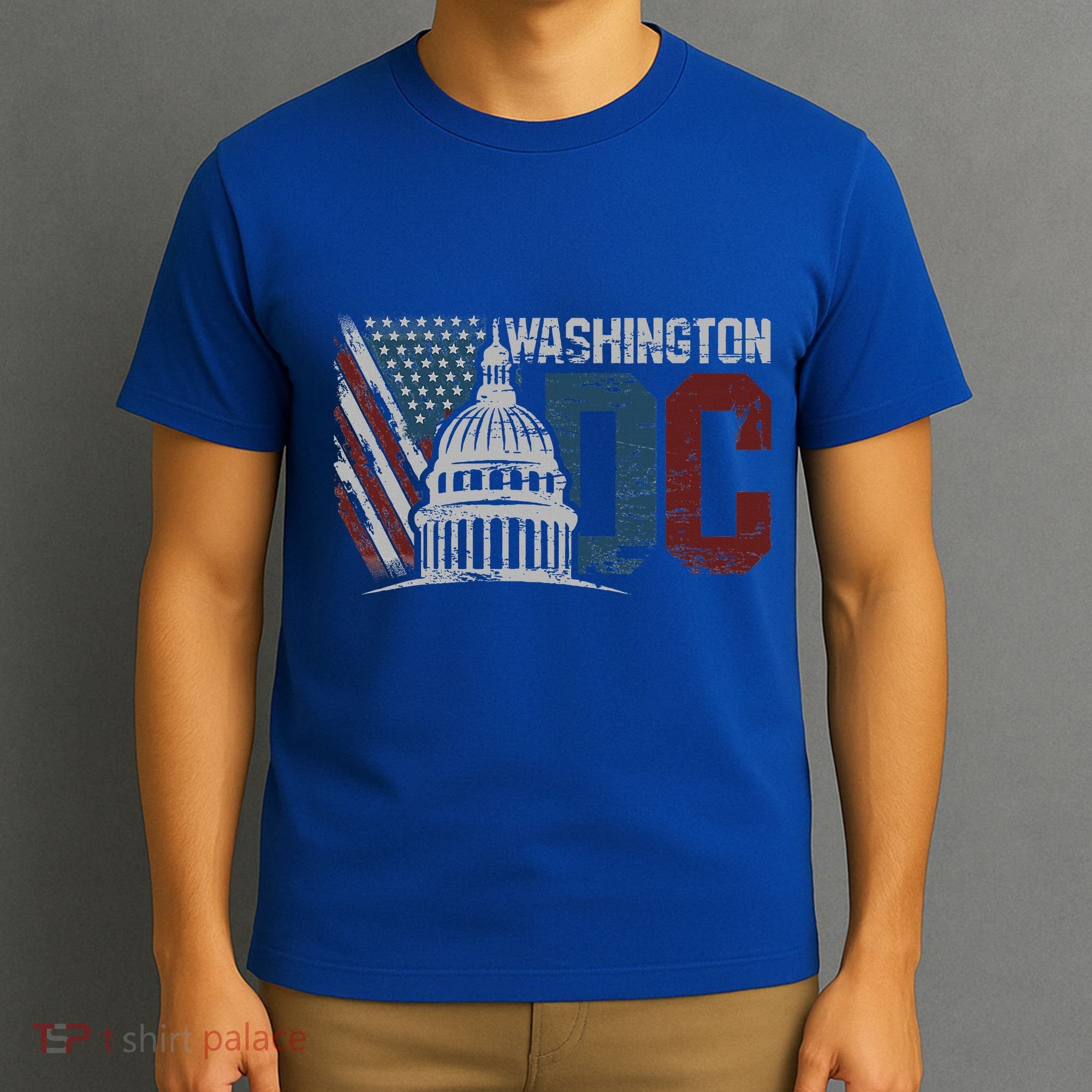 Washington Dc Capitol Hill Usa Flag Souvenir T-Shirt