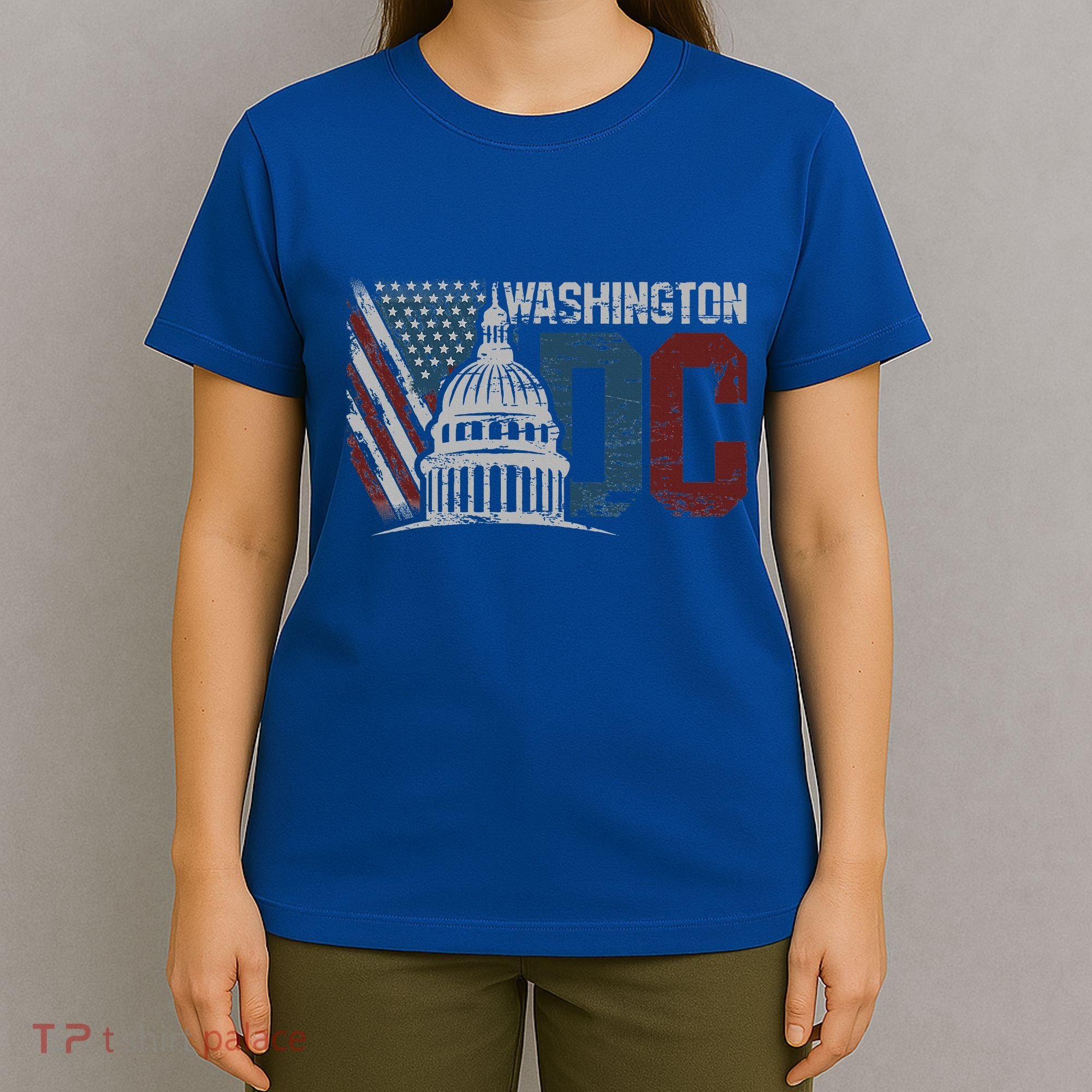 Washington Dc Capitol Hill Usa Flag Souvenir T-Shirt