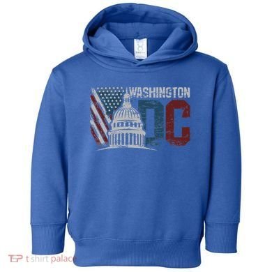Washington Dc Capitol Hill Usa Flag Souvenir Toddler Hoodie