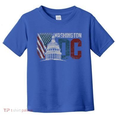 Washington Dc Capitol Hill Usa Flag Souvenir Toddler T-Shirt