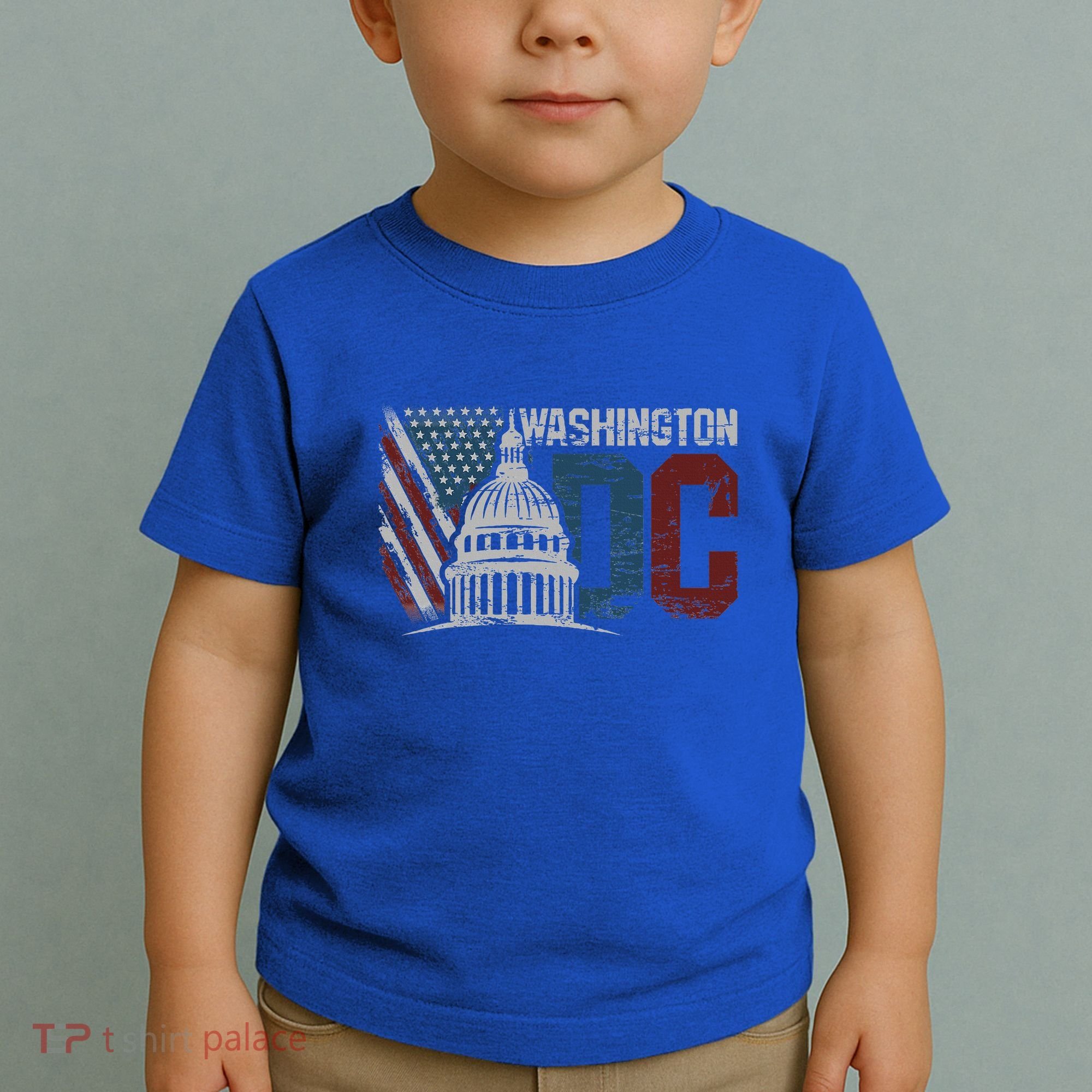 Washington Dc Capitol Hill Usa Flag Souvenir Toddler T-Shirt