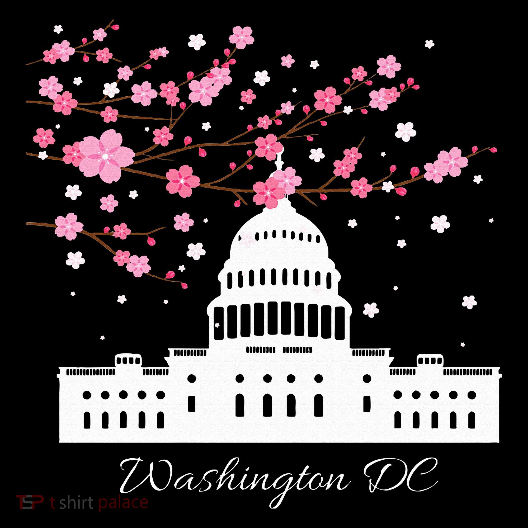Washington Dc Capitol Building Cherry Blossoms Coaster