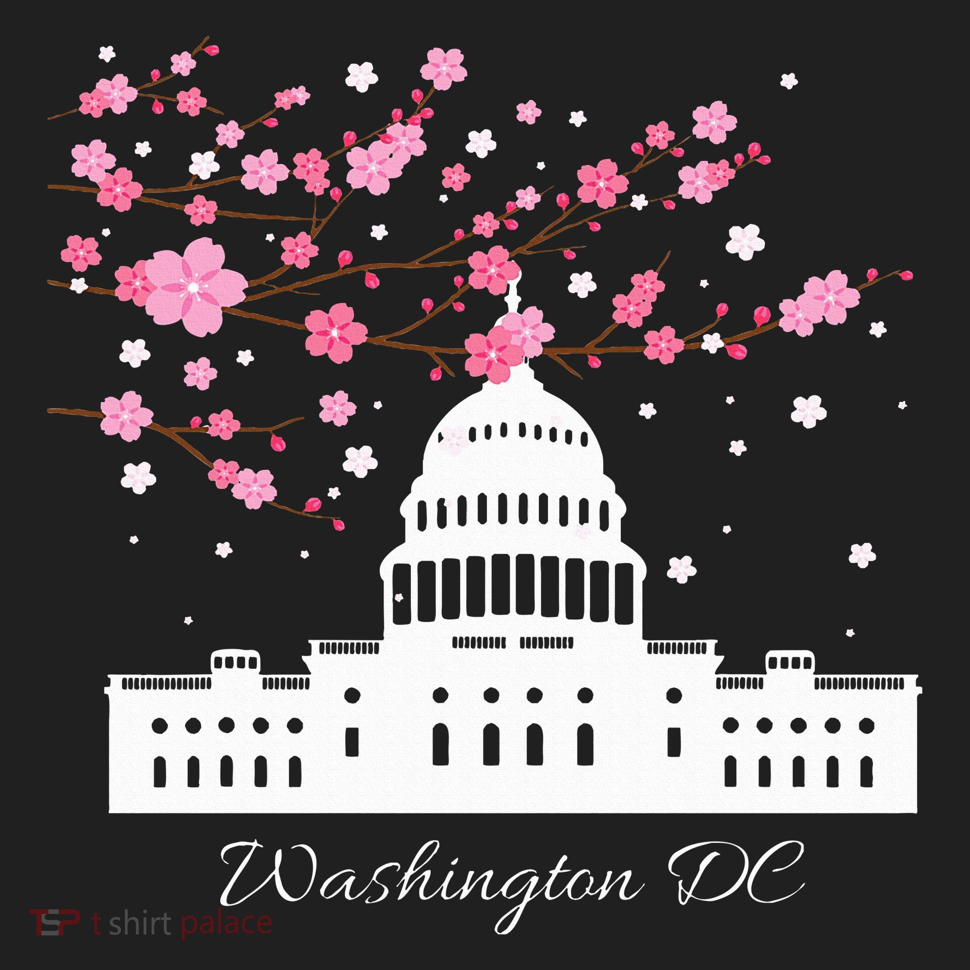 Washington Dc Capitol Building Cherry Blossoms Hat