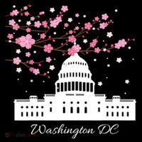 Washington DC Capitol Building Cherry Blossoms TShirt Kids T-Shirt thumb 4