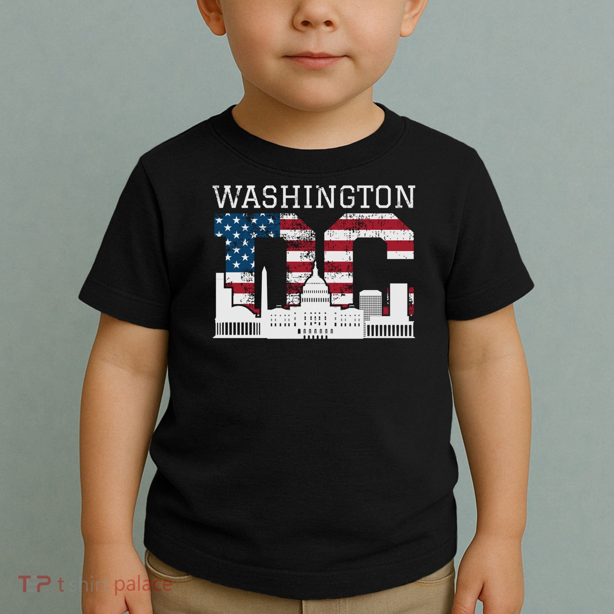 Washington Dc Capitol Hill Usa Flag Souvenir Great Gift Toddler T-Shirt