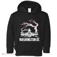 Washington Dc Cherry Blossom Capitol Hill Usa Souvenir Toddler Hoodie thumb 0