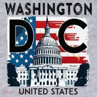 Washington Dc Capitol Hill Usa Souvenirs Gifts Women's Sweatshirt thumb 2