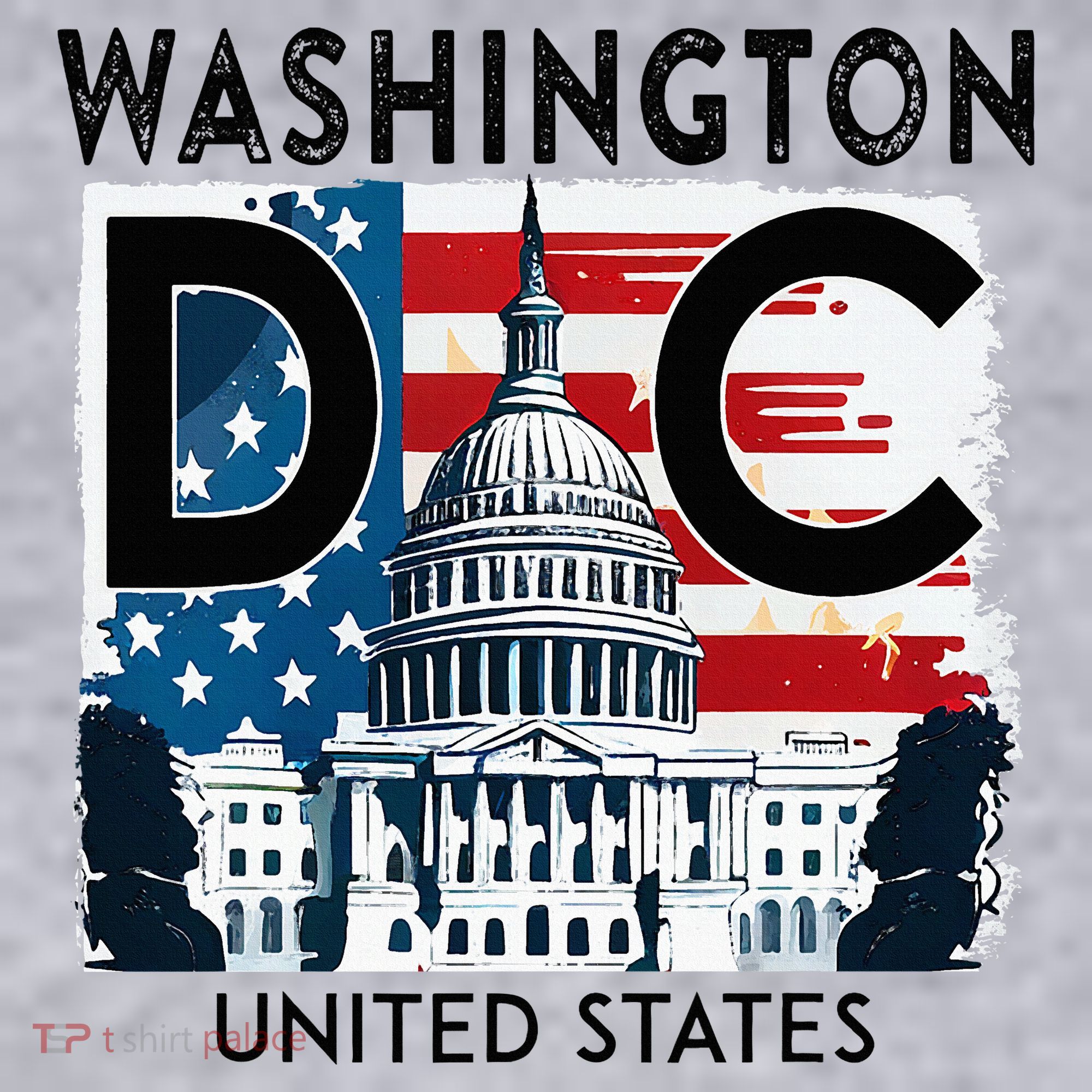 Washington Dc Capitol Hill Usa Souvenirs Gifts Women's Sweatshirt