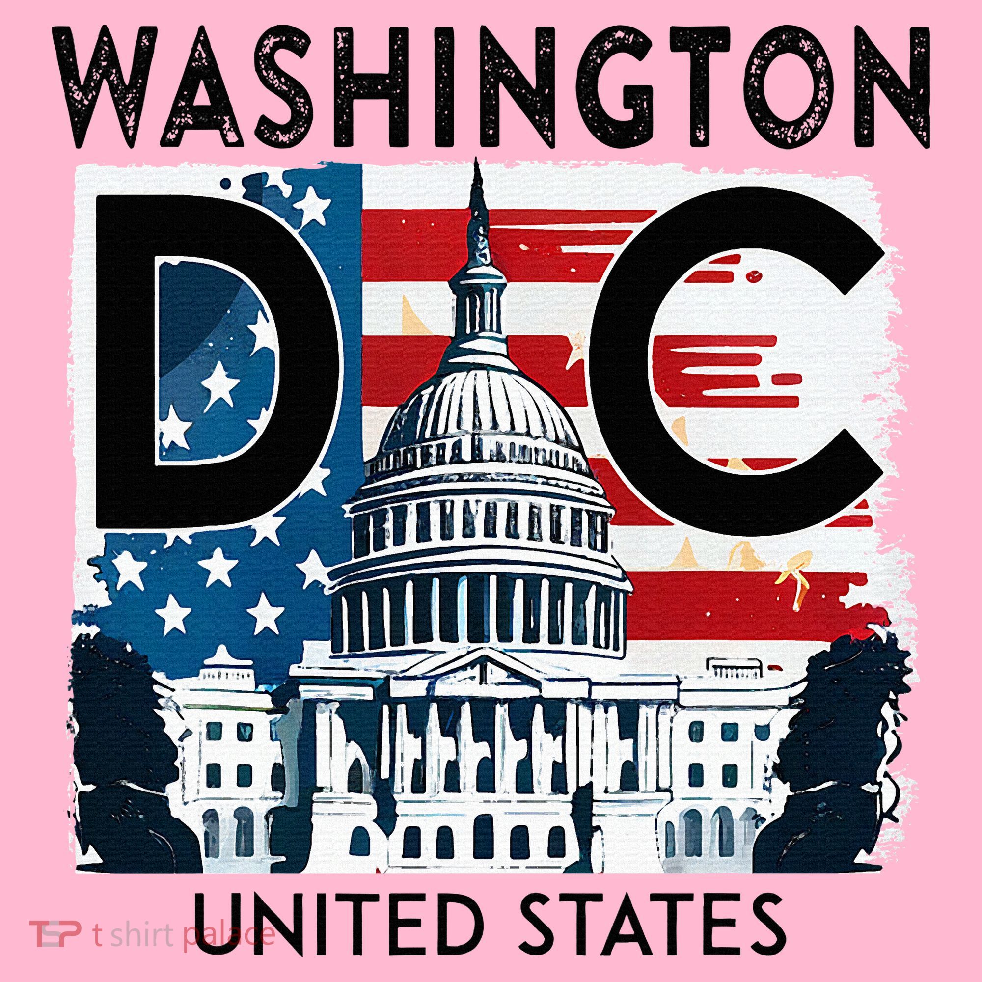 Washington Dc Capitol Hill Usa Souvenirs Gifts Hoodie