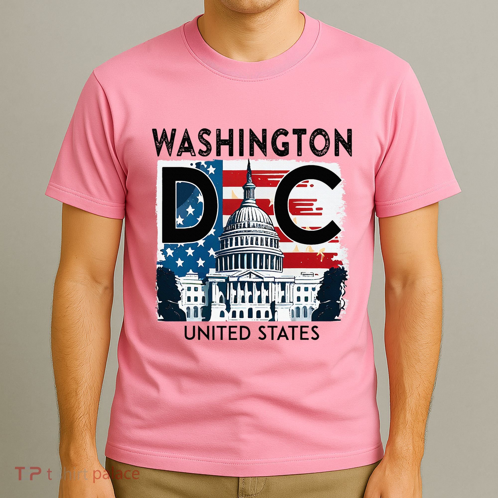 Washington Dc Capitol Hill Usa Souvenirs Gifts T-Shirt