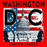 Washington Dc Capitol Hill Usa Souvenirs Gifts Santa Hat thumb 1