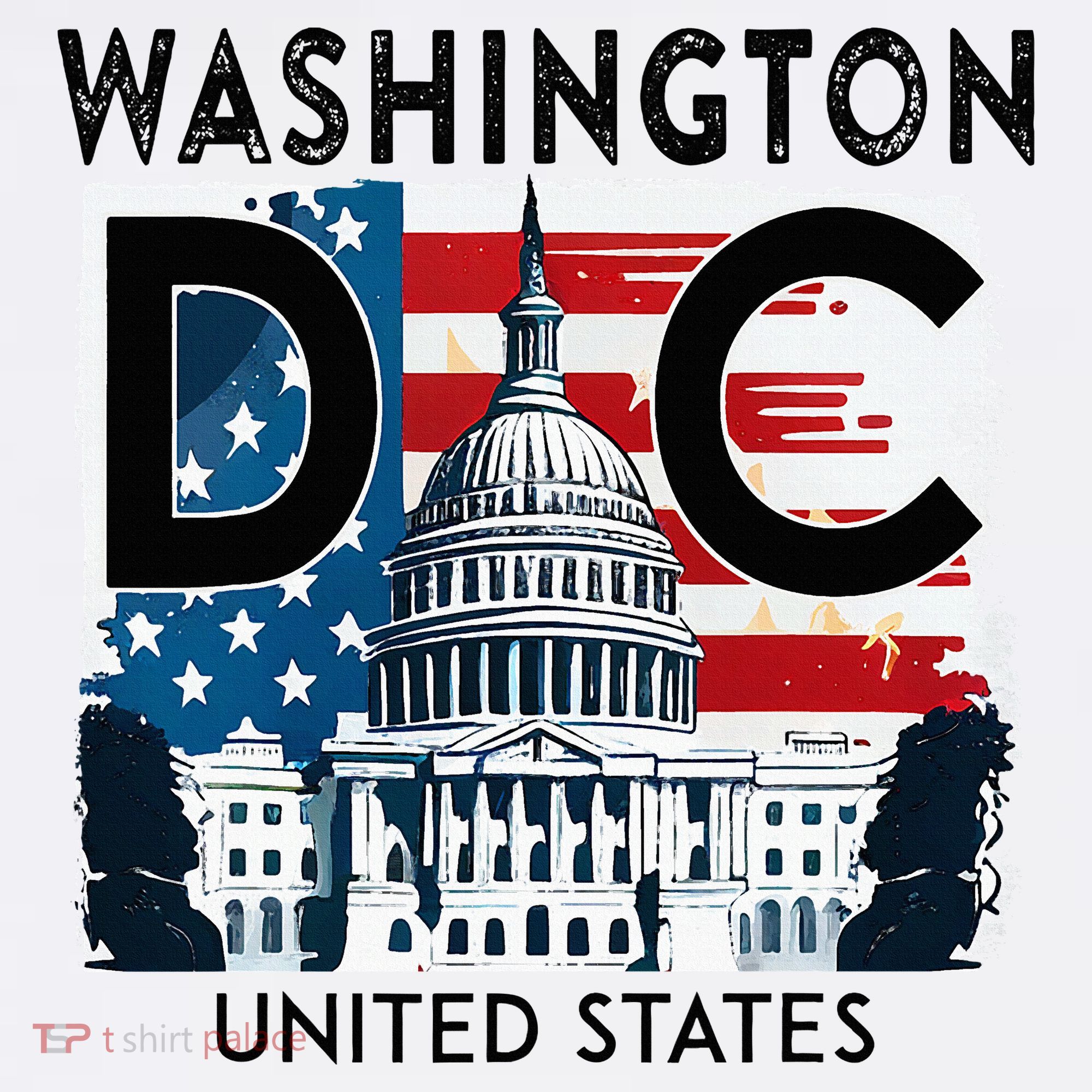 Washington Dc Capitol Hill Usa Souvenirs Gifts Women's Hoodie