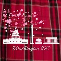 Washington DC Cherry Blossoms Monuments Memorials TShirt Men's Flannel Plaid Pajama Pants thumb 2