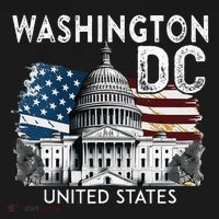 Washington Dc Capitol Hill Usa Souvenirs Women's Hoodie thumb 2