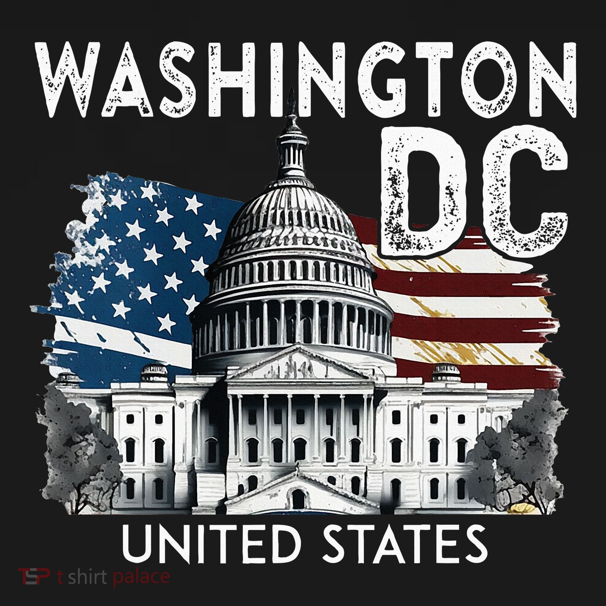Washington Dc Capitol Hill Usa Souvenirs Women's Hoodie