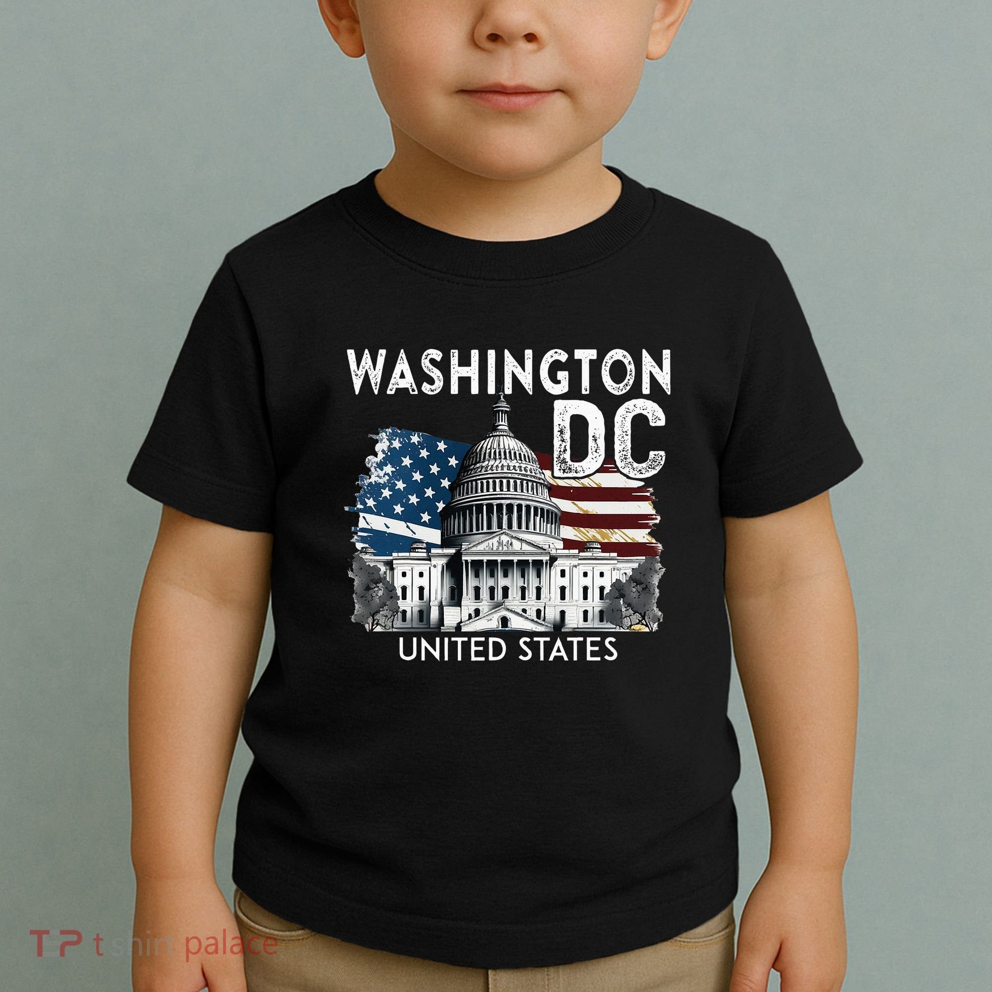 Washington Dc Capitol Hill Usa Souvenirs Toddler T-Shirt