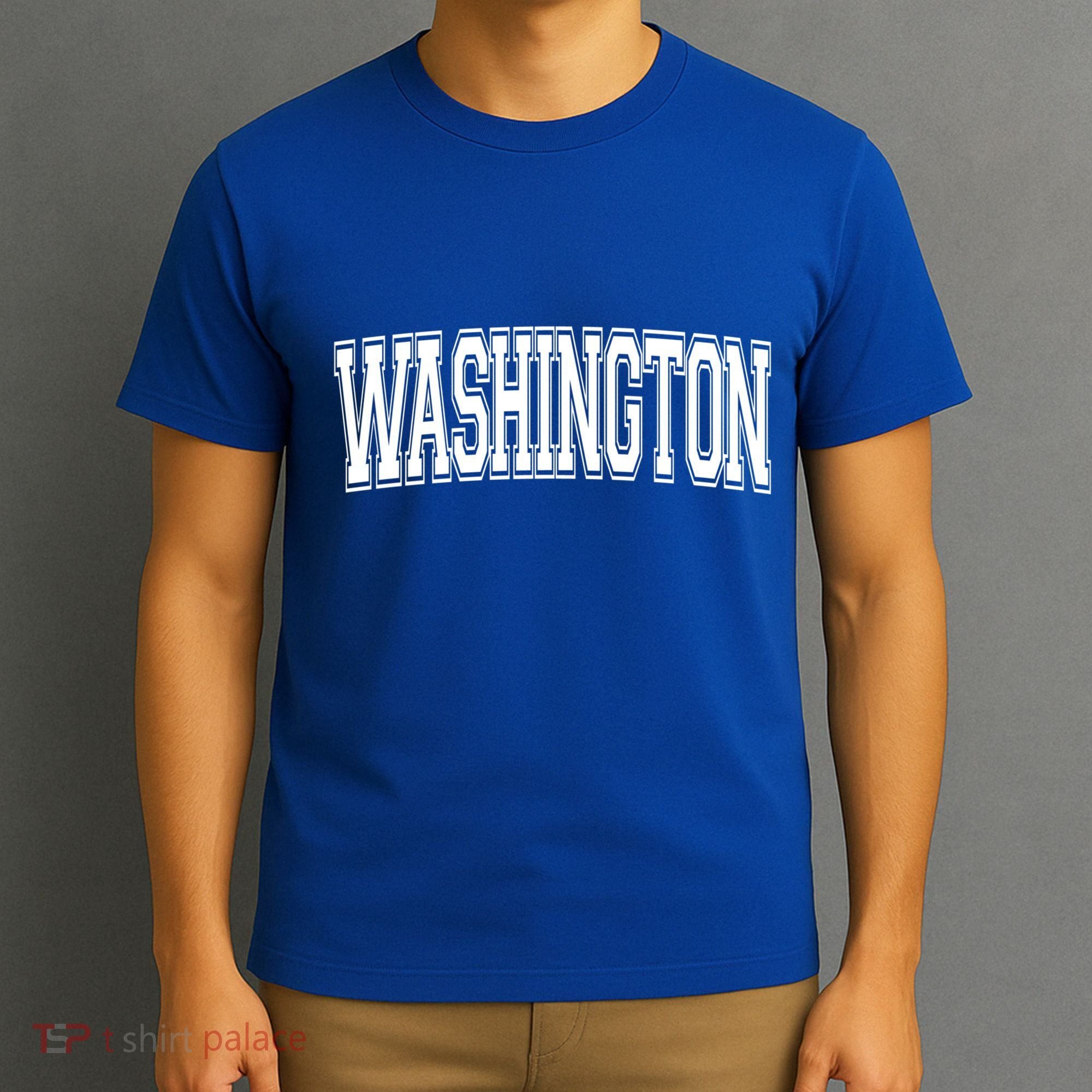 Washington Dc District Of Columbia Usa Vintage Varsity Style Gift T-Shirt