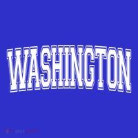 Washington Dc District Of Columbia Usa Vintage Varsity Style Gift T-Shirt thumb 7
