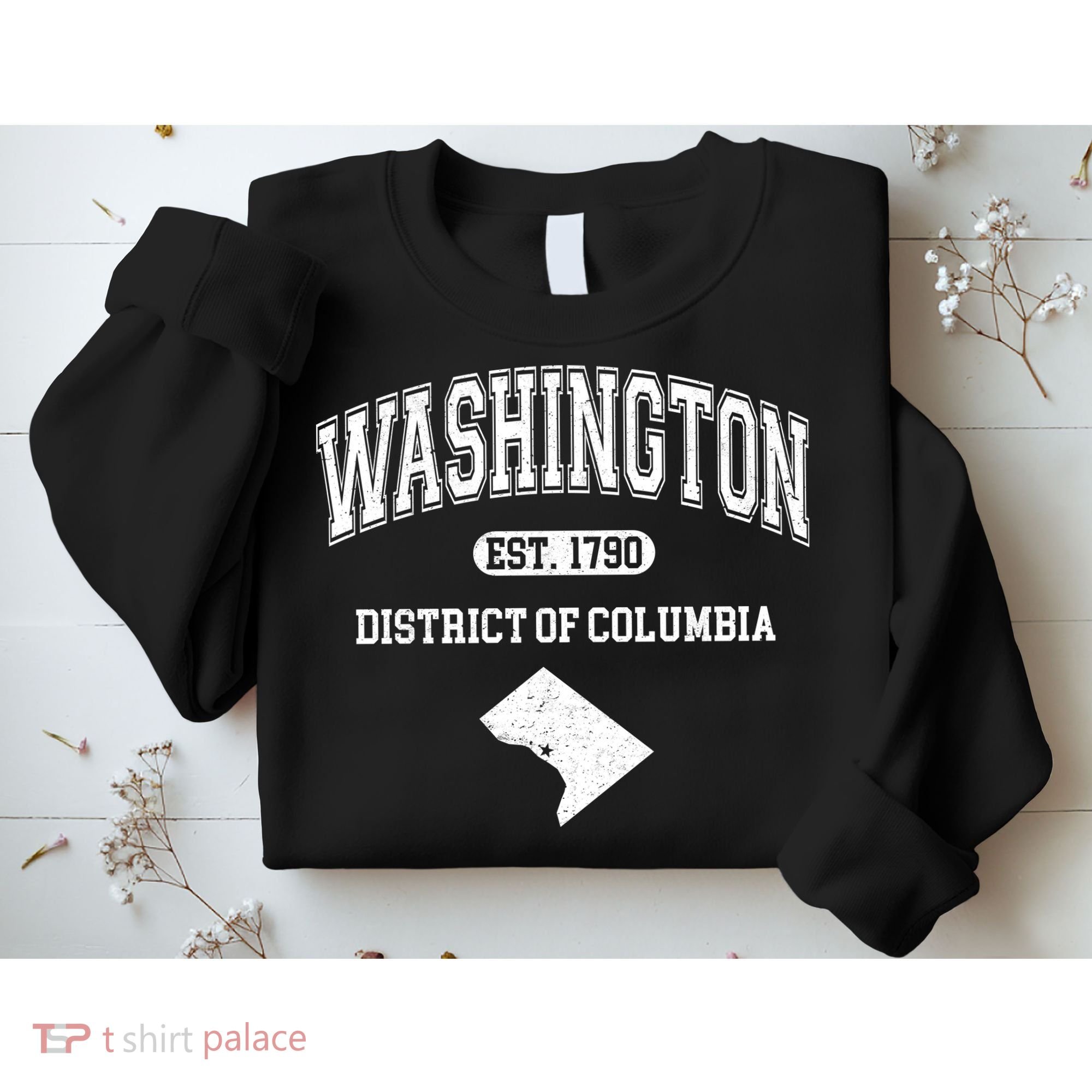 Washington DC District Of Columbia Est 1790 Varsity Sweatshirt
