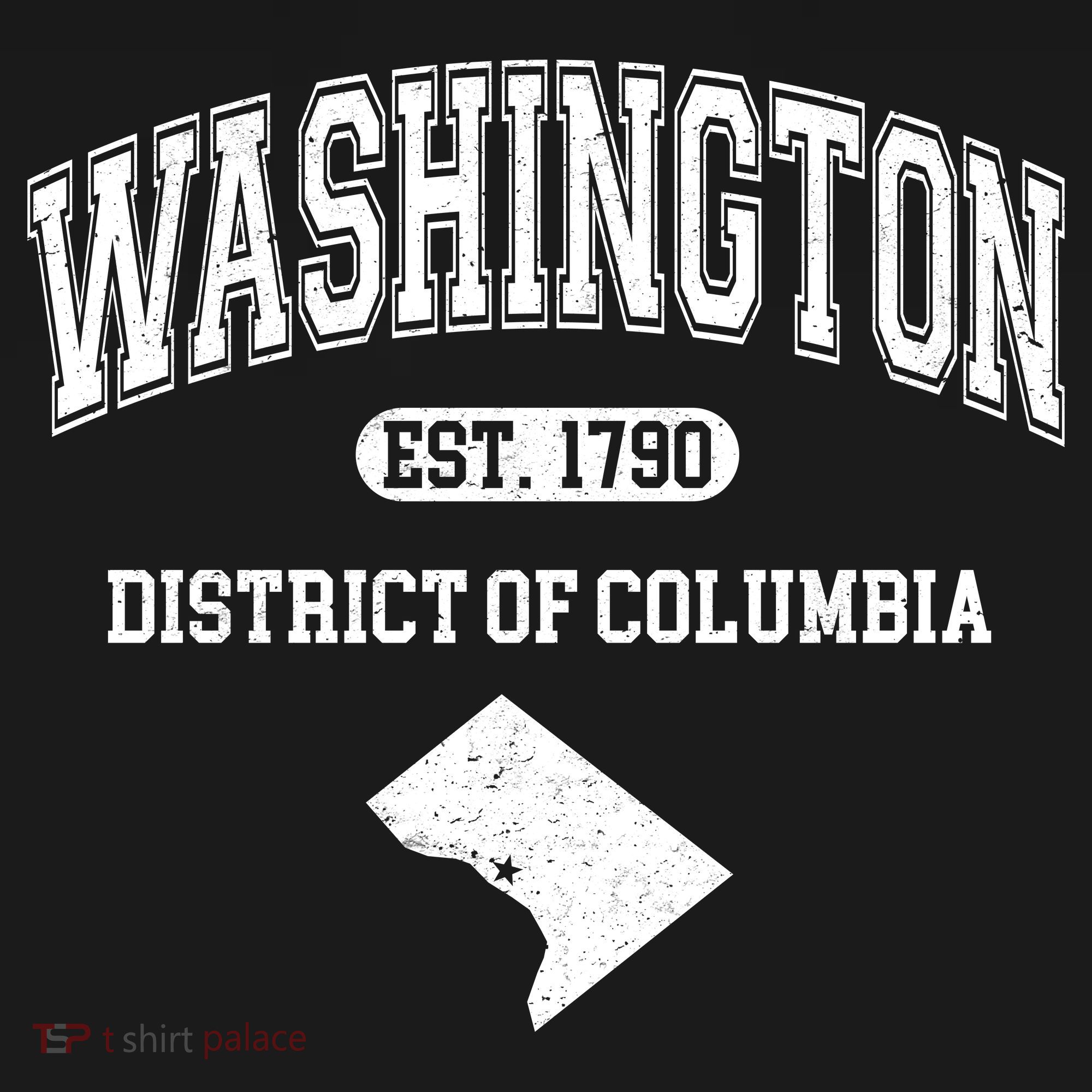 Washington DC District Of Columbia Est 1790 Varsity Women's Hoodie
