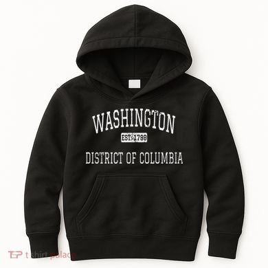Washington DC DC Vintage Kids Hoodie