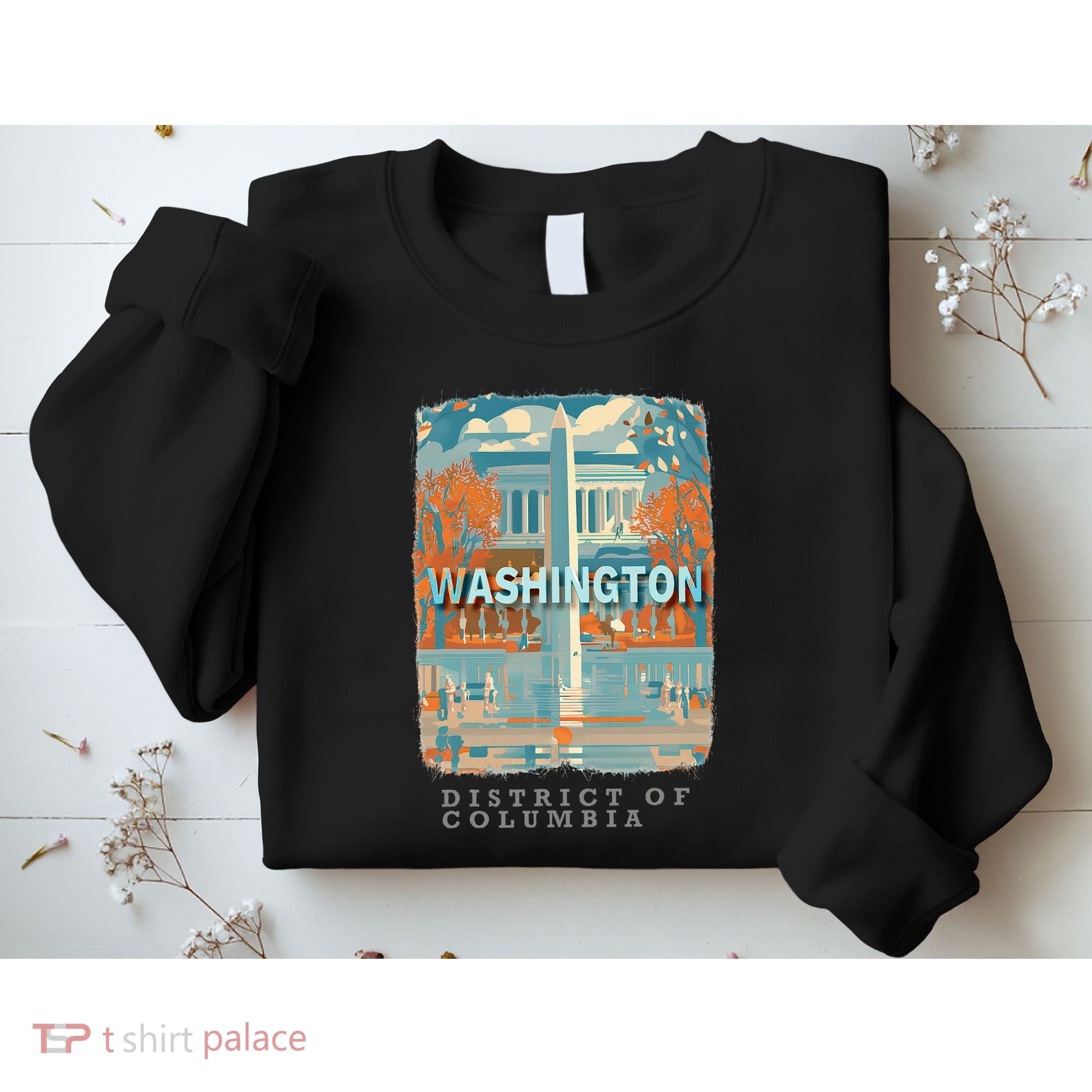 Washington Dc Dc Monumental Majesty Sd741 Sweatshirt