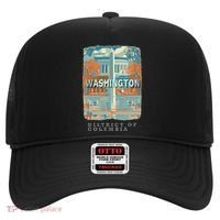 Washington Dc Dc Monumental Majesty Sd741 Hat thumb 0