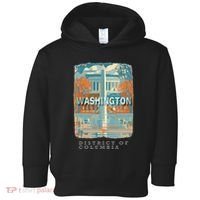 Washington Dc Dc Monumental Majesty Sd741 Toddler Hoodie thumb 0