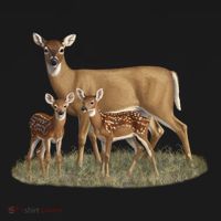 Whitetail Deer Doe And Cute Twin Fawns Wildlife Art Meaningful Gift Women's Hoodie thumb 2