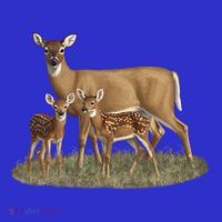 Whitetail Deer Doe And Cute Twin Fawns Wildlife Art Meaningful Gift Women's Tank Top thumb 5
