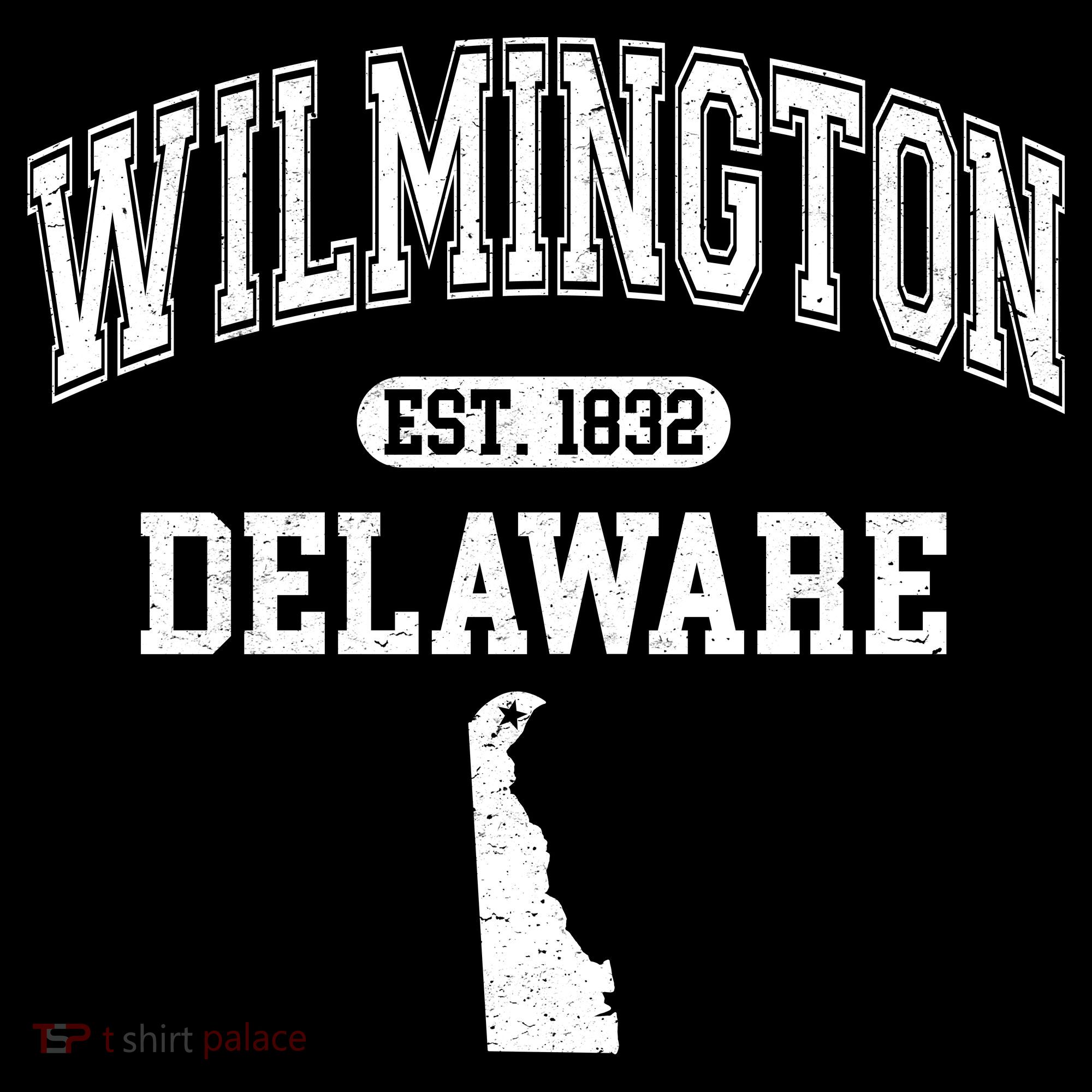 Wilmington Delaware Est 1832 Varsity Women's Hoodie