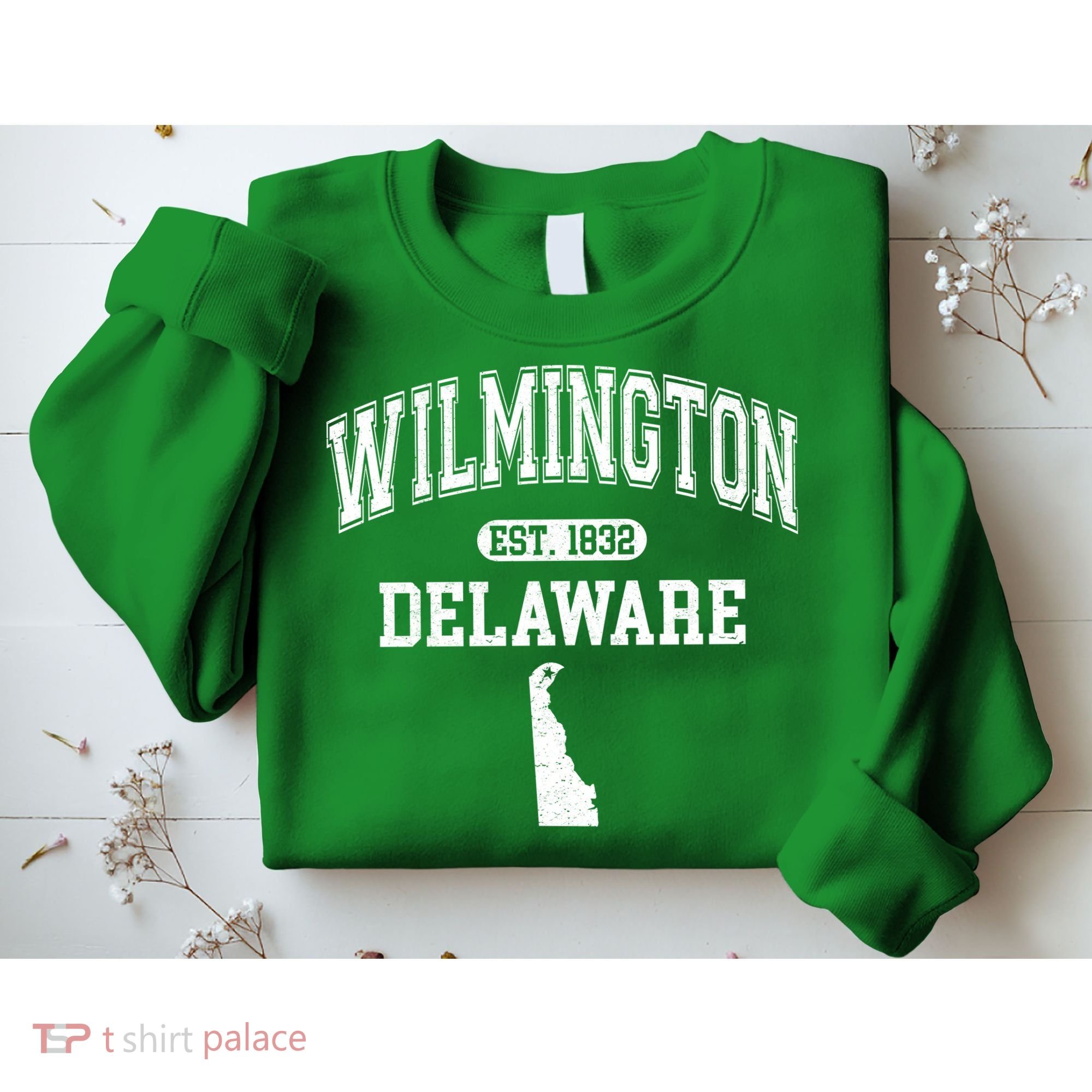 Wilmington Delaware Est 1832 Varsity Sweatshirt