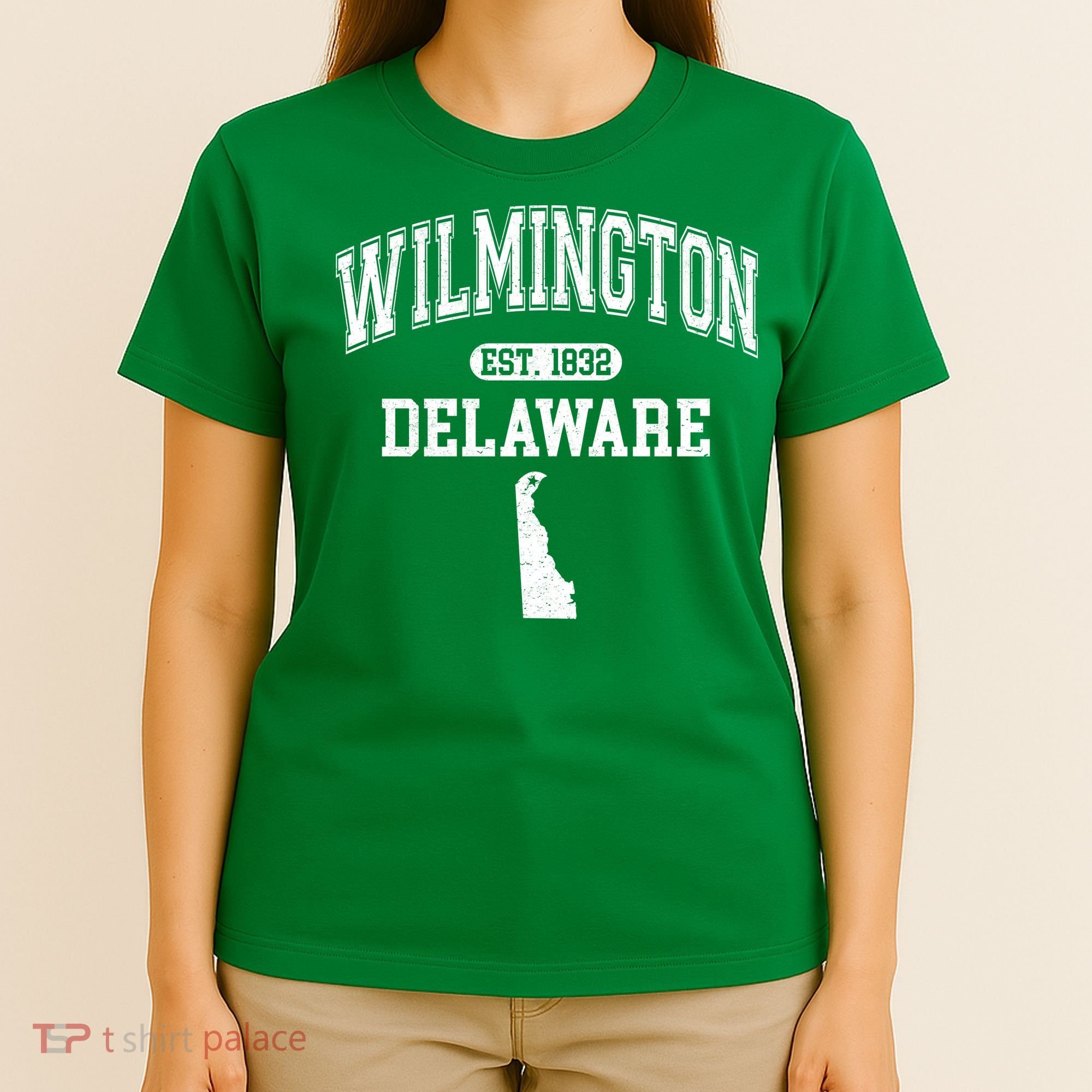 Wilmington Delaware Est 1832 Varsity T-Shirt
