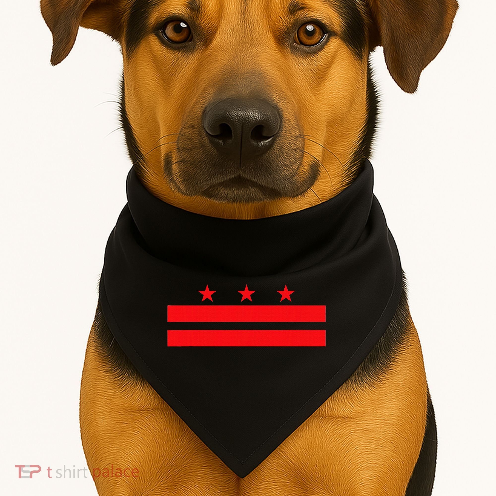 Washington Dc Flag USA-Made Doggie Bandana