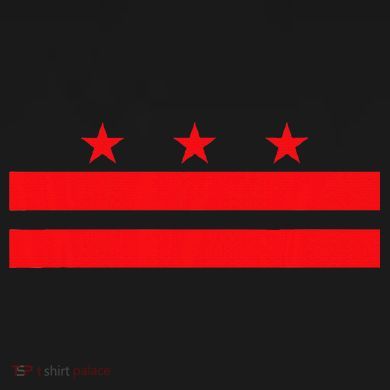 Washington Dc Flag Backpack
