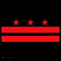 Washington Dc Flag Coaster thumb 2