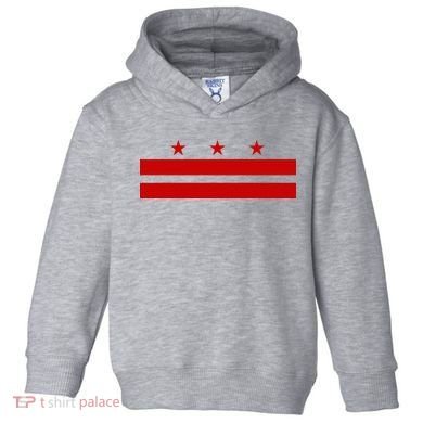 Washington D.C. Flag A Capital City Toddler Hoodie