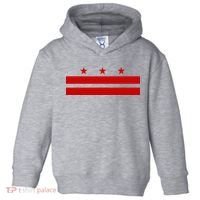 Washington D.C. Flag A Capital City Toddler Hoodie thumb 0