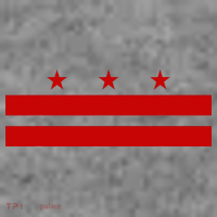 Washington D.C. Flag A Capital City Toddler Hoodie thumb 2