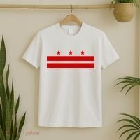 Washington D.C. Flag A Capital City T-Shirt thumb 2