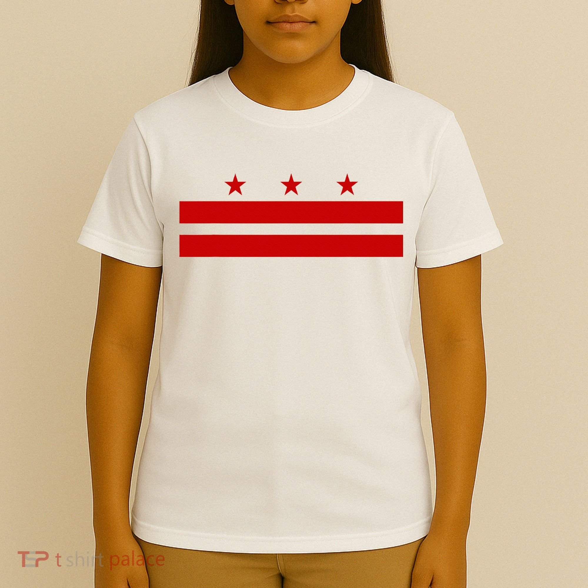 Washington D.C. Flag A Capital City T-Shirt
