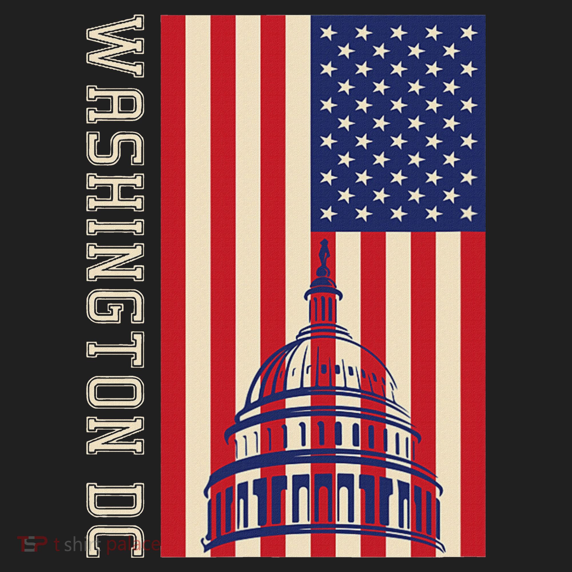 Washington Dc Flag Of The United States Beanie
