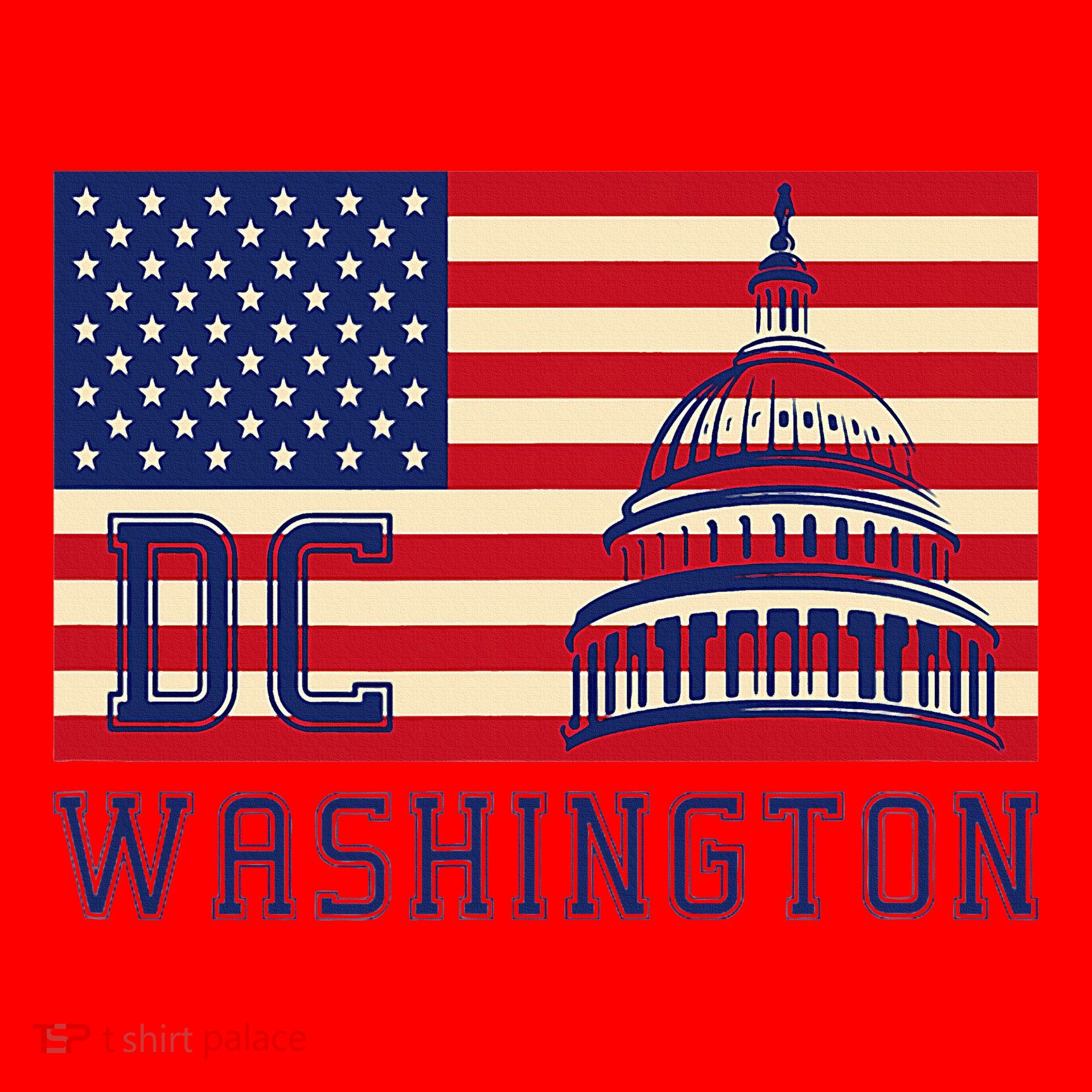 Washington Dc Flag Of The United States Santa Hat