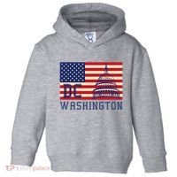 Washington Dc Flag Of The United States Toddler Hoodie thumb 0