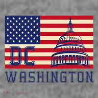 Washington Dc Flag Of The United States Toddler Hoodie thumb 2