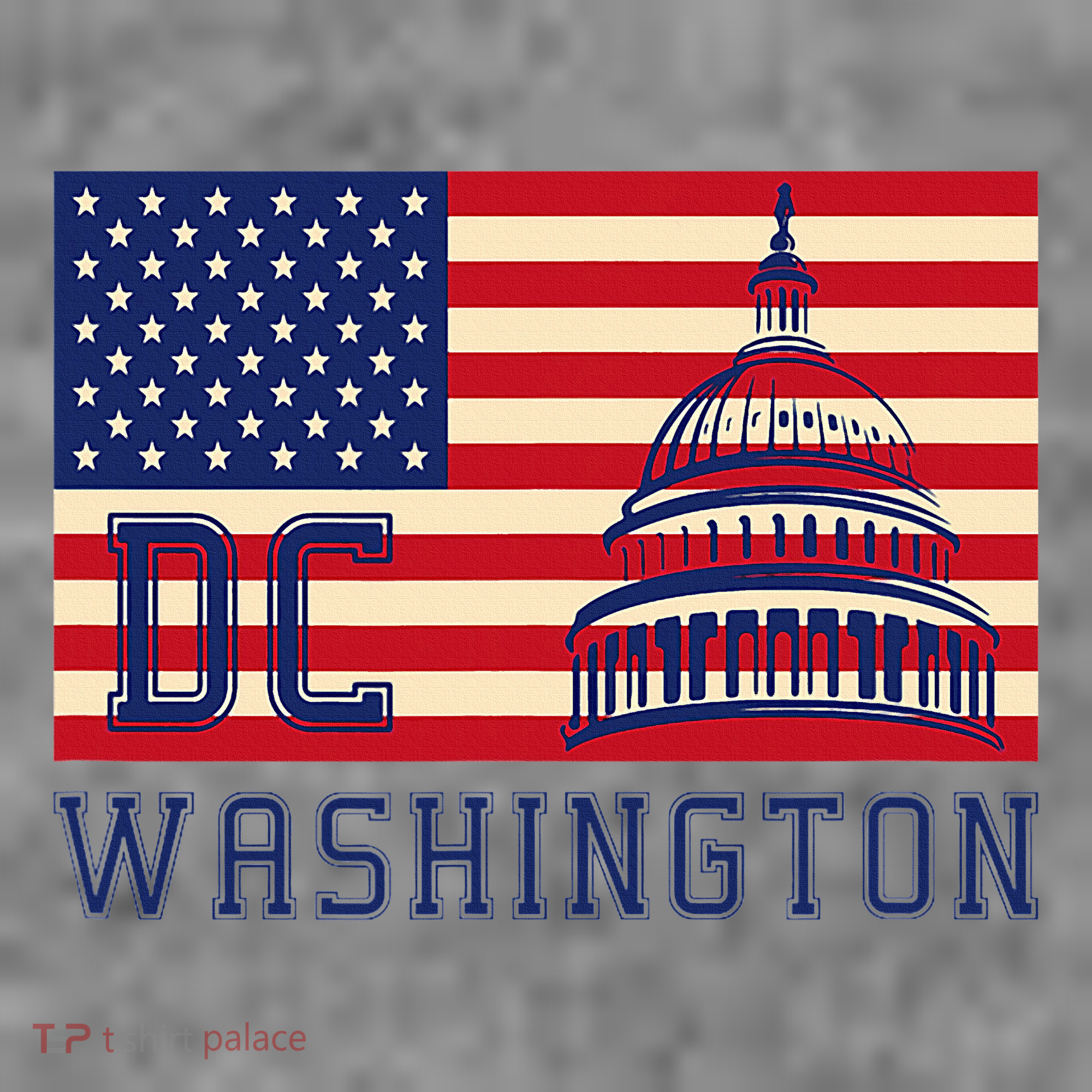 Washington Dc Flag Of The United States Toddler Hoodie
