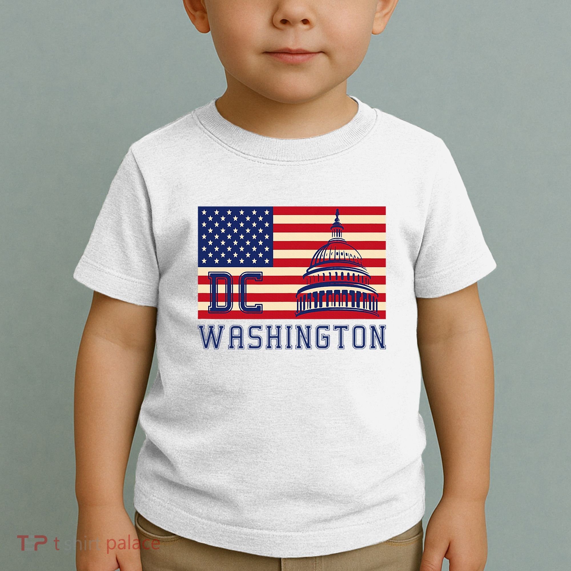 Washington Dc Flag Of The United States Toddler T-Shirt