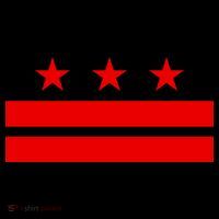 Washington Dc Flag D.C. Capitol Toddler Hoodie thumb 2