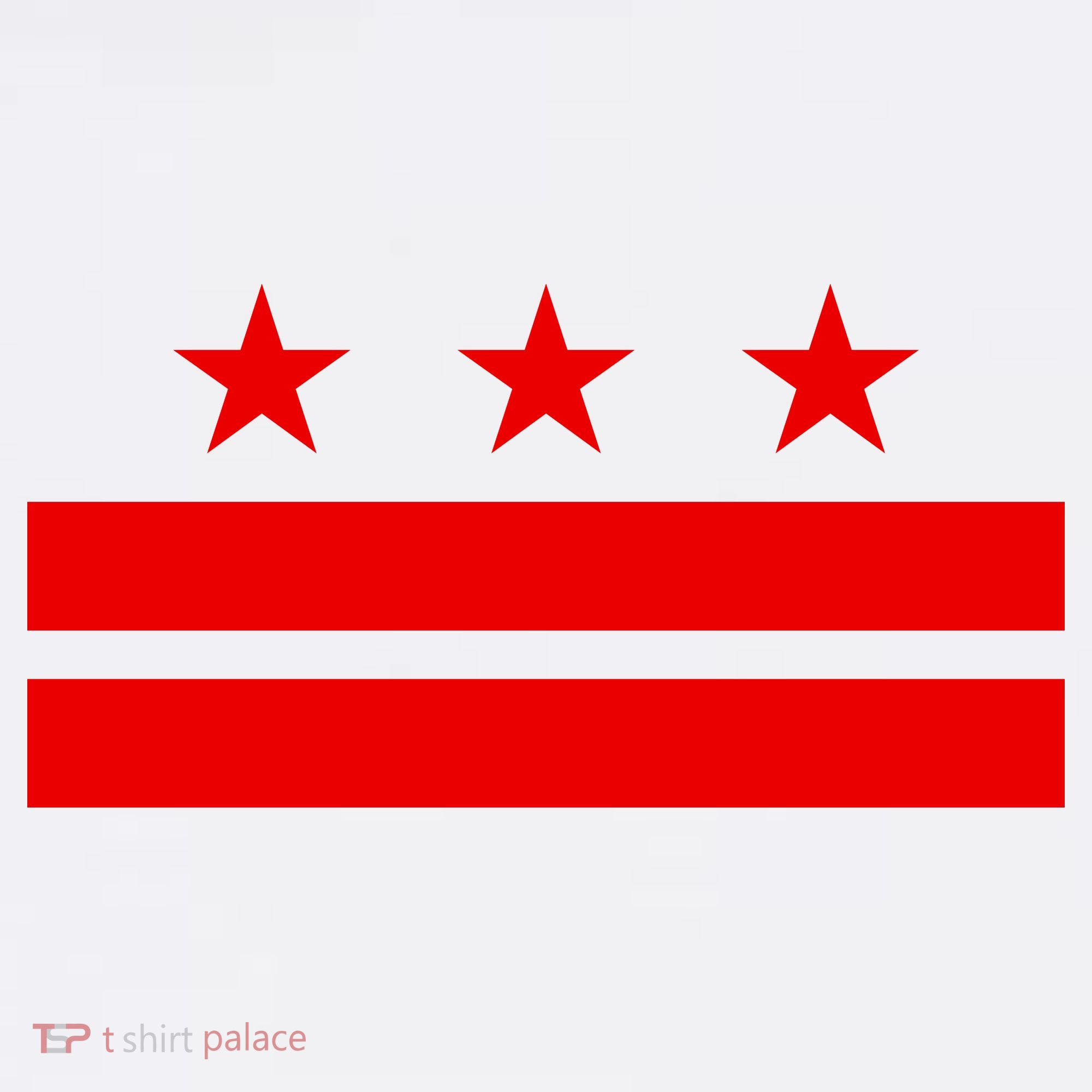 Washington Dc Flag D.C. Capitol Women's Tank Top
